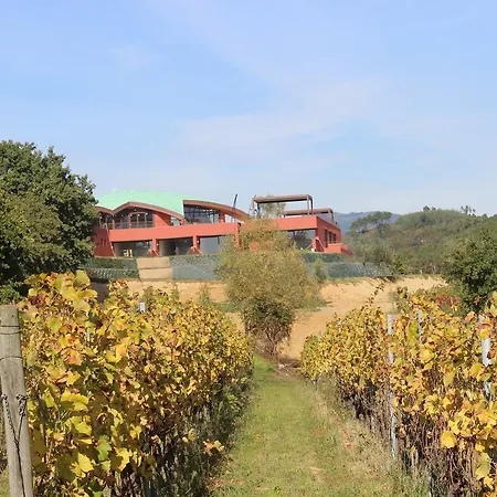 Buonamico Wine