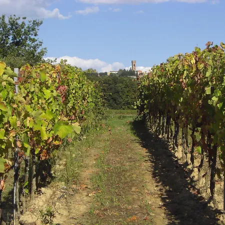 Resort Buonamico Wine
