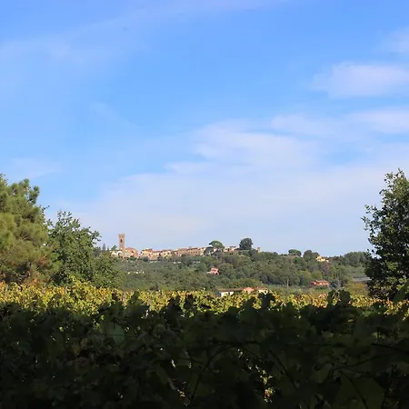 Resort Buonamico Wine Montecarlo